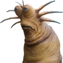 LatvianKlaud