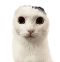 jermbo