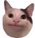 Politecat politecat Discord Emoji