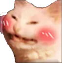 memepussyblush