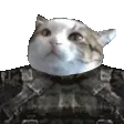 lennicTuna