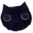 voidStare