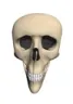skull2