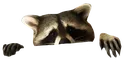 Raccoon_Peek Raccoon_Peek