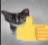 catupvote