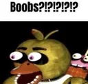 Boobs