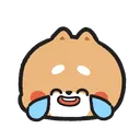 laugh laugh