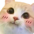 totori8Cute