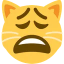 mlodycumer