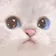 catsad
