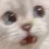 catwhat