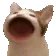 catpop