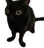 jinx