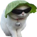 Swag Cat swagcat Discord Emoji