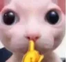 Silencio