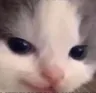 mischief