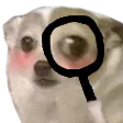 Bork_Suspect Discord Emoji