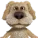 Ben_Stare