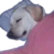 emoji_3
