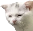 emoji_5