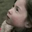 sinsi