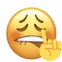 nopo