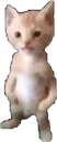 michael