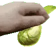 kokorub