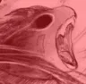 RegDarkScream