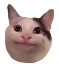 well Discord emoji