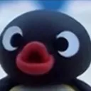 pingubruh