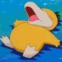 RSDuckSleep