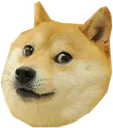 doge Discord Emoji