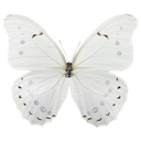 _w Discord emoji