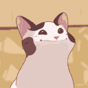 memescat Discord Emoji