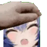 NJ_pet