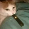 smok
