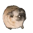 shaboom