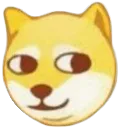 doge