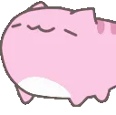BugCatNodPink