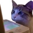 WatchingStream WatchingStream