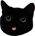 bot_cat