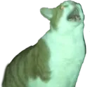 screm screm