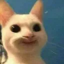siu_mnhechmep siu_mnhechmep