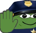 policestop