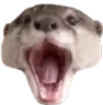 otterpog otterpog