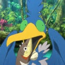 surprisedcramorant