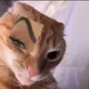 felinegood