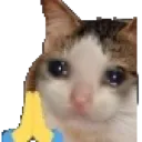 ples
