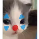 lfmpayaso